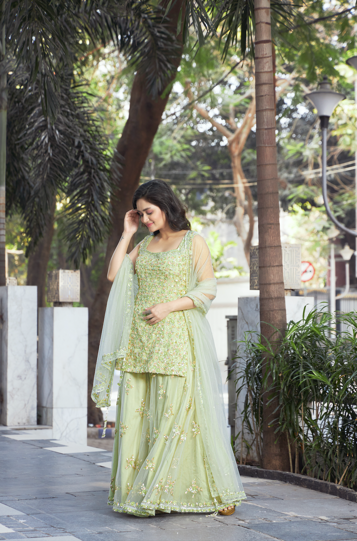 Simran - Dressy and Elegant Sharara Set